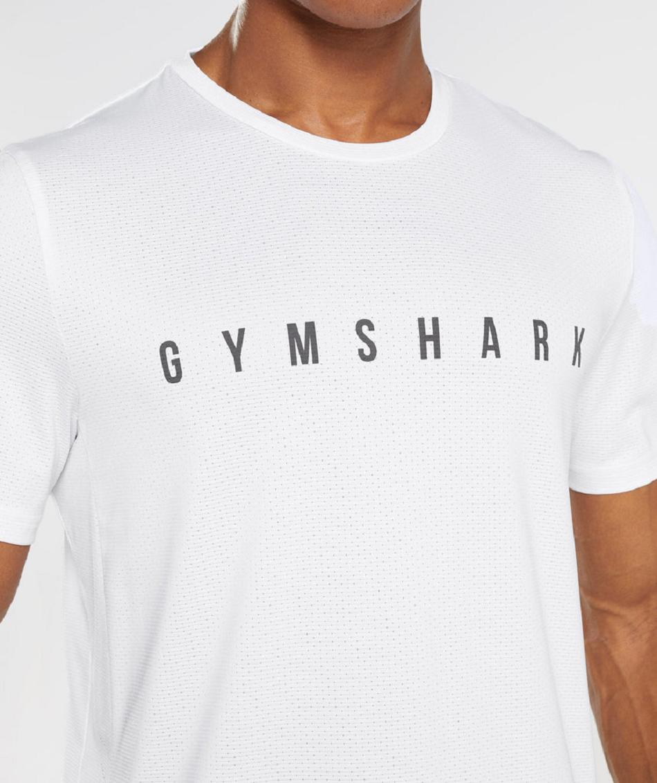 Gymshark Sport Stripe Muške T Shirts Bijele | HR 2351MQZ